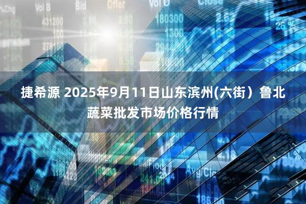 捷希源 2025年9月11日山东滨州(六街）鲁北蔬菜批发市场价格行情