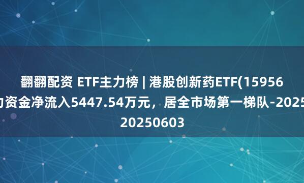 翻翻配资 ETF主力榜 | 港股创新药ETF(159567)主力资金净流入5447.54万元，居全市场第一梯队-20250603