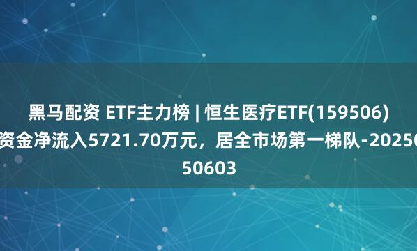 黑马配资 ETF主力榜 | 恒生医疗ETF(159506)主力资金净流入5721.70万元，居全市场第一梯队-20250603