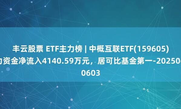 丰云股票 ETF主力榜 | 中概互联ETF(159605)主力资金净流入4140.59万元，居可比基金第一-20250603