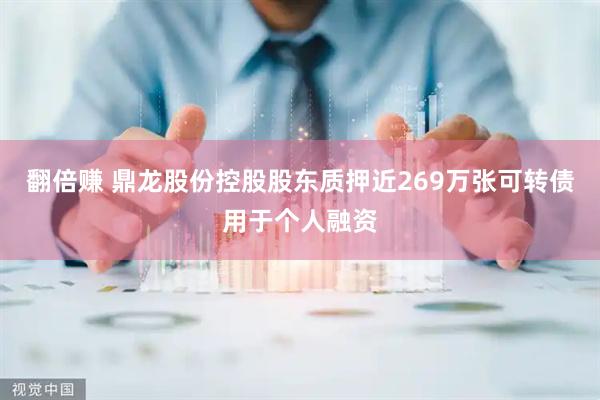 翻倍赚 鼎龙股份控股股东质押近269万张可转债用于个人融资