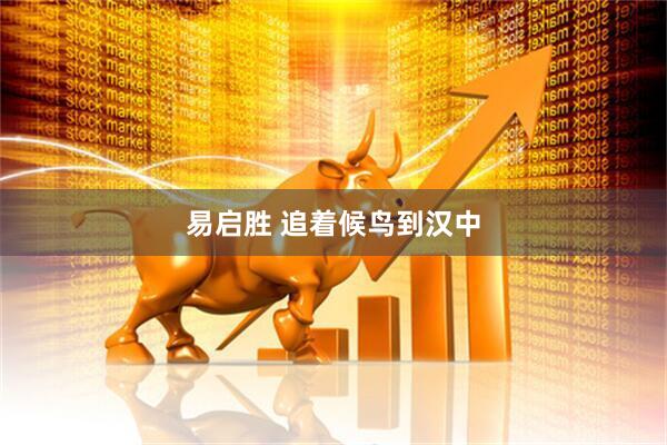 易启胜 追着候鸟到汉中
