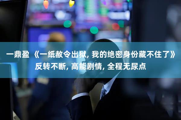一鼎盈 《一纸赦令出狱, 我的绝密身份藏不住了》反转不断, 高能剧情, 全程无尿点